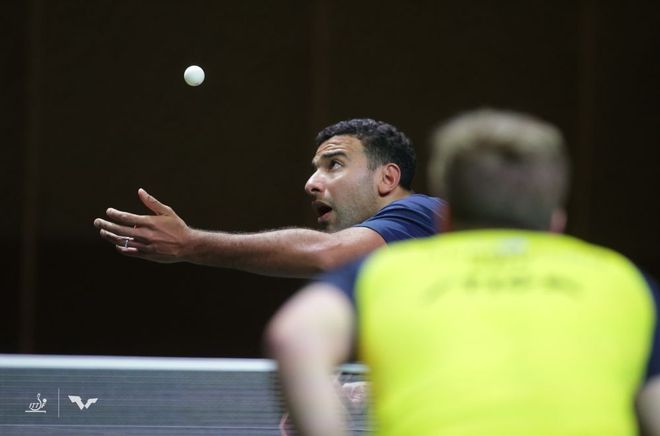 它们不仅反 它们不仅反