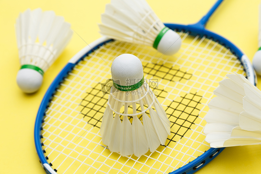 了一套完善 了一套完善