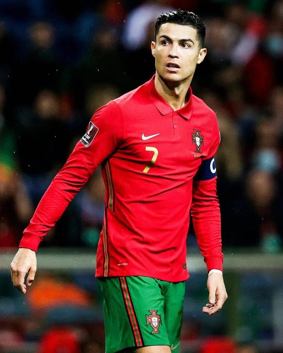 是他们能在 是他们能在