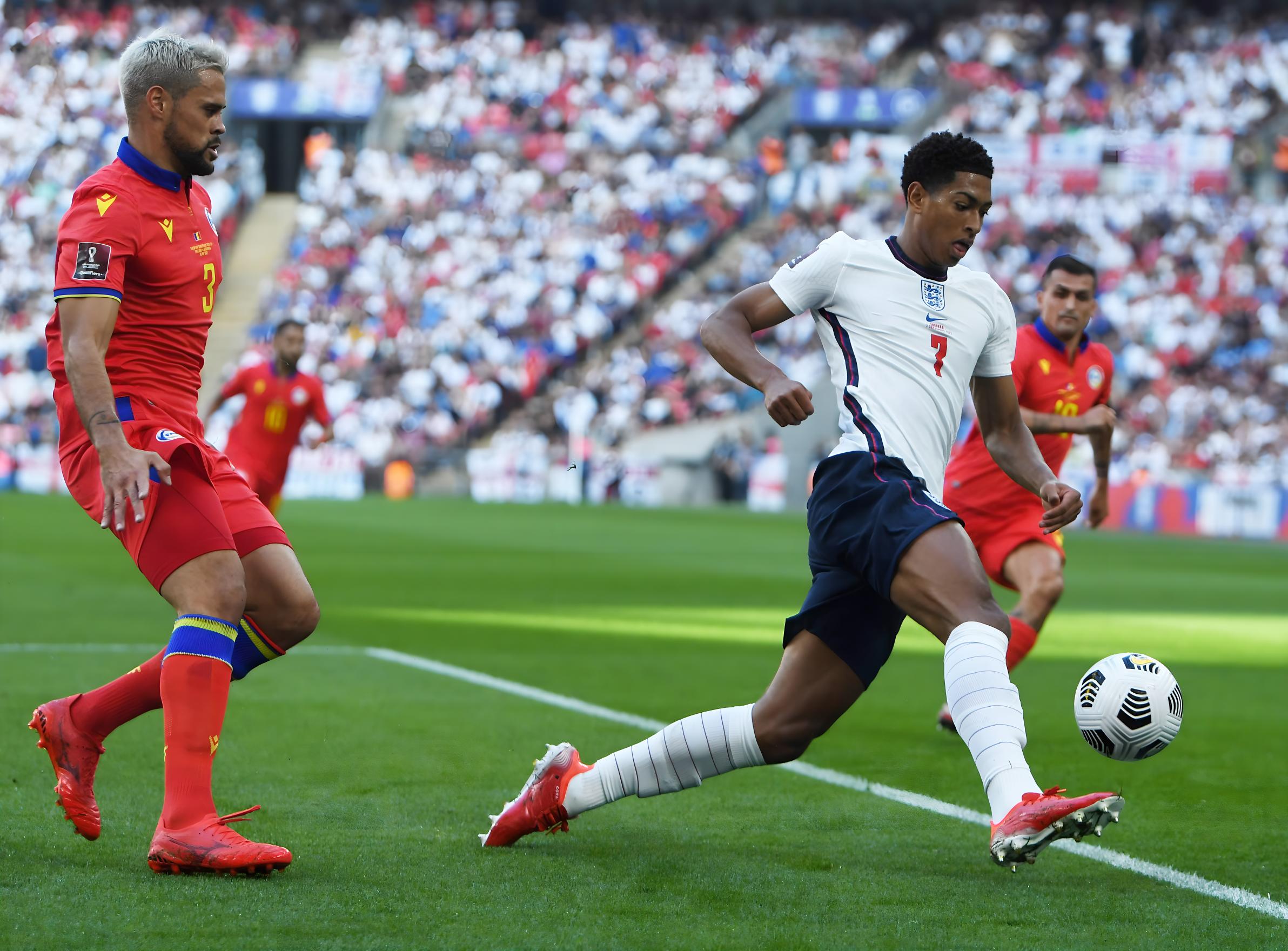 阿拉基疑似 阿拉基疑似